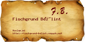 Fischgrund Bálint névjegykártya