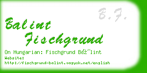 balint fischgrund business card